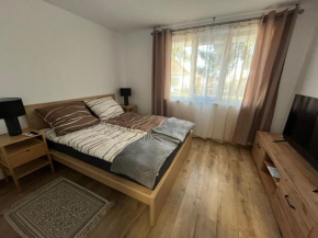 EA flat Sfintu Gheorghe
